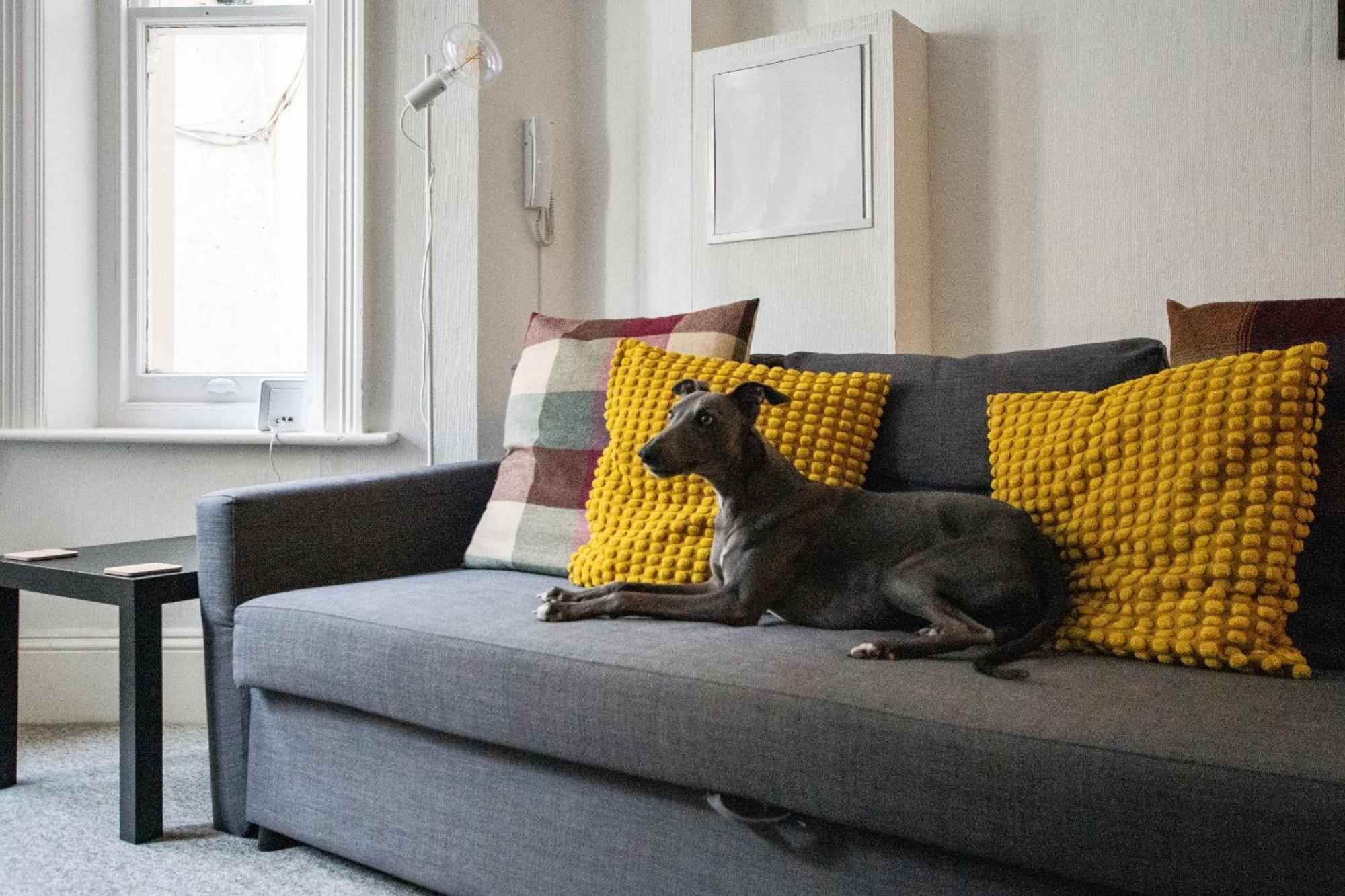 The Sand Bank - Flat 1, Cosy, Central Bournemouth, Sleeps 4, 7 Min From The Beach, Pet Friendly, Parking, Wifi, Kitchen,Washer,Private Exit Exterior photo